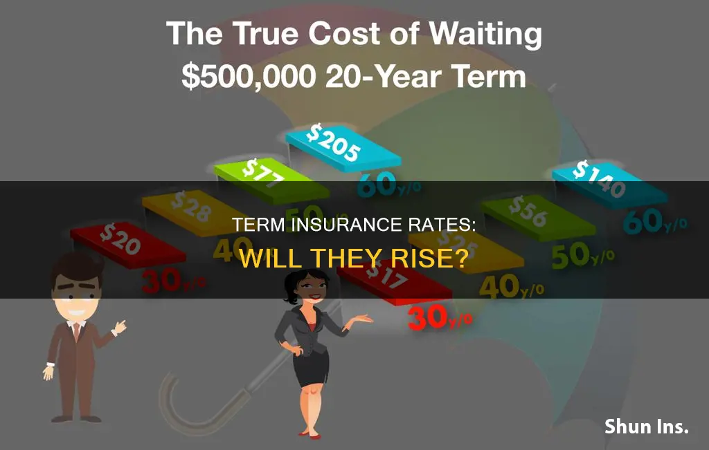 do rates go up in term insurance
