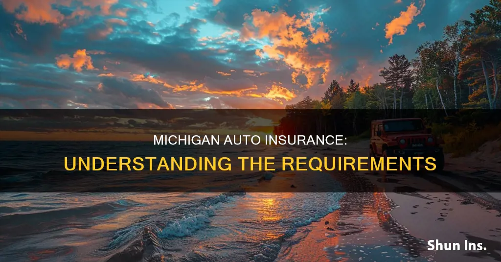 do residents of michigan have to carry auto insurance