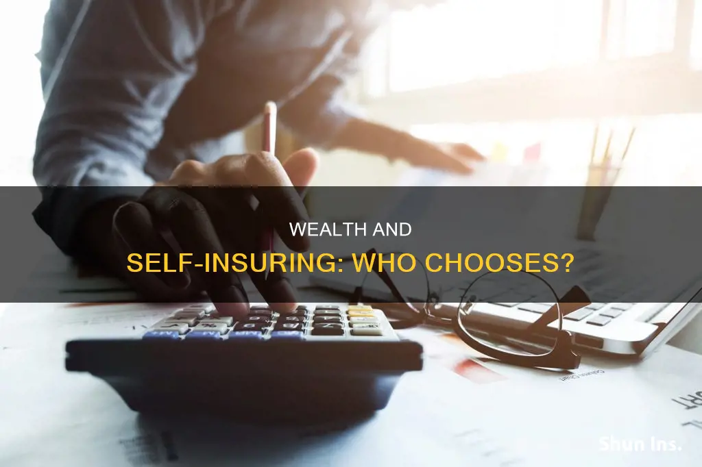 do rich or poor people choose to self insure more