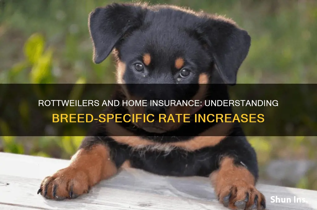 do rottweilers raise insurance