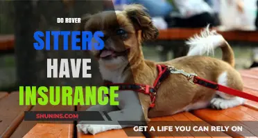 Do Rover Sitters Have Insurance? Understanding Pet Care Coverage