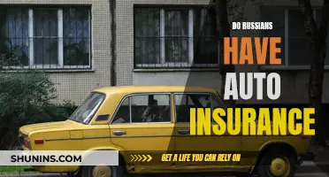 Auto Insurance in Russia: What You Need to Know