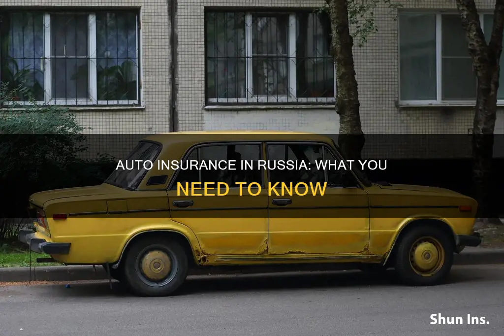 do russians have auto insurance