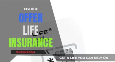 Telco Life Insurance: What SC Telco Offers