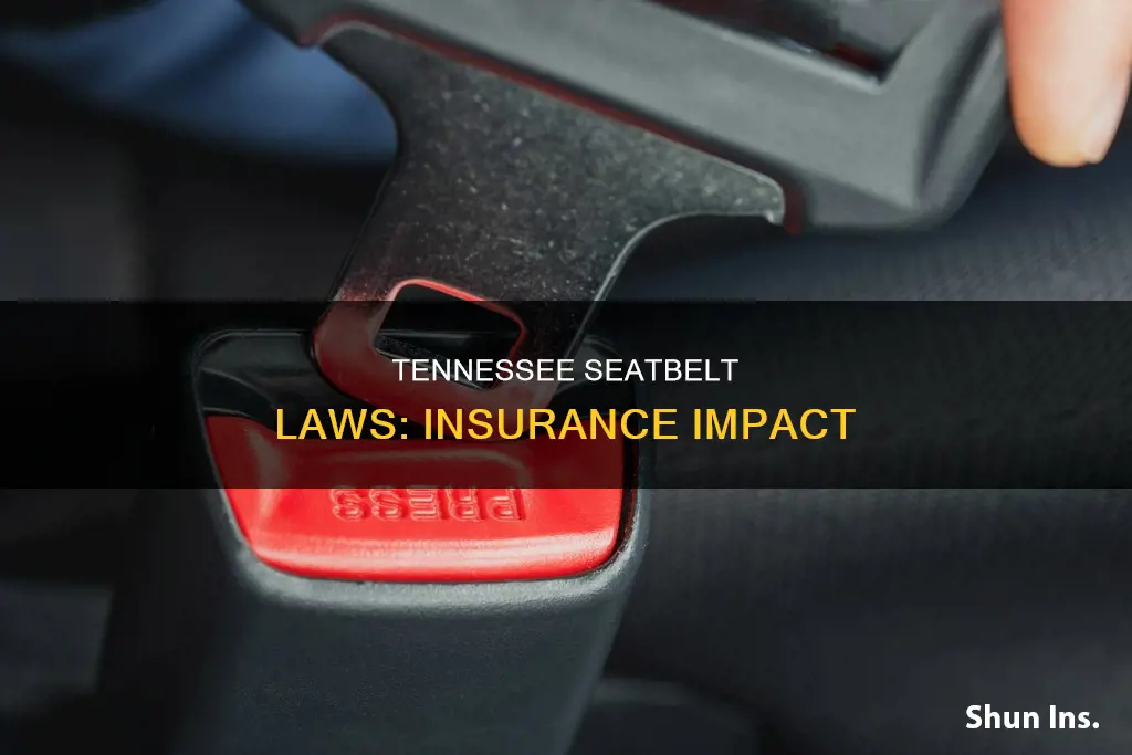 do seatbelt violations affect insurance in Tennessee