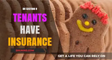 Section 8 Tenants and Insurance: What You Need to Know