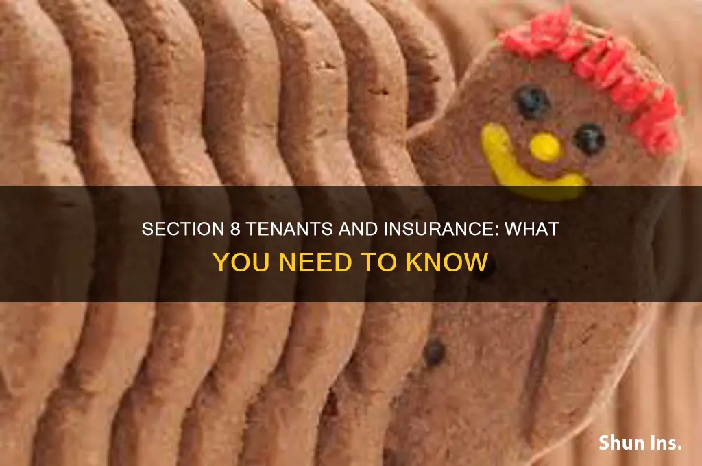do section 8 tenants have insurance