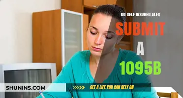 Self-Insured Employers: Are 1095-B Forms Required for Submission?
