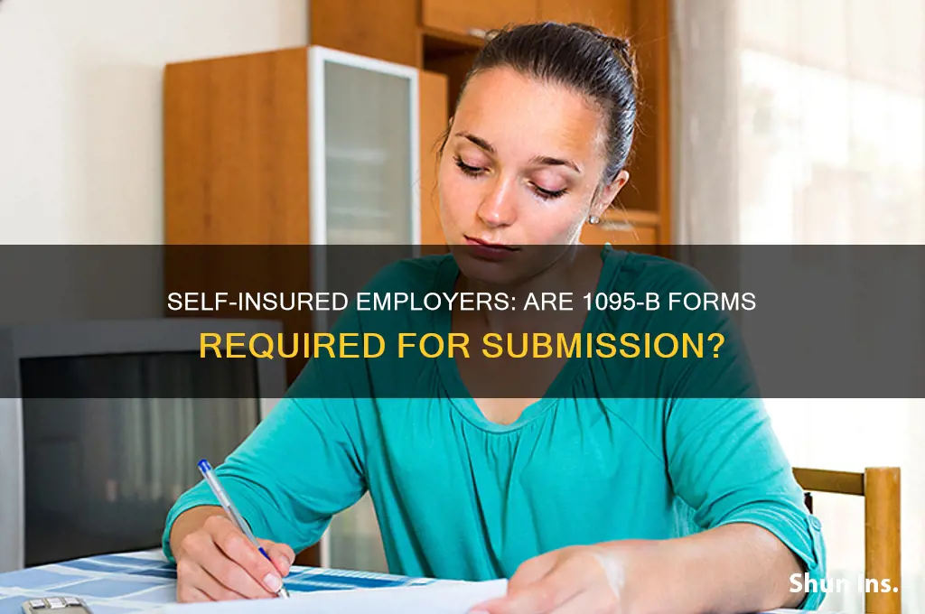 do self insured ales submit a 1095b