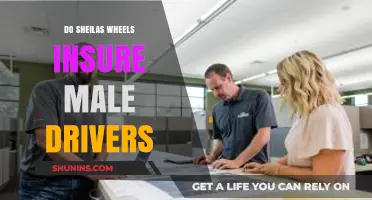 Sheilas' Wheels Male Driver Insurance: Coverage Options Explained