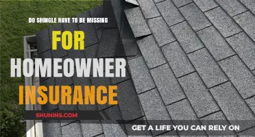 Shingle Damage and Homeowner Insurance: What You Need to Know