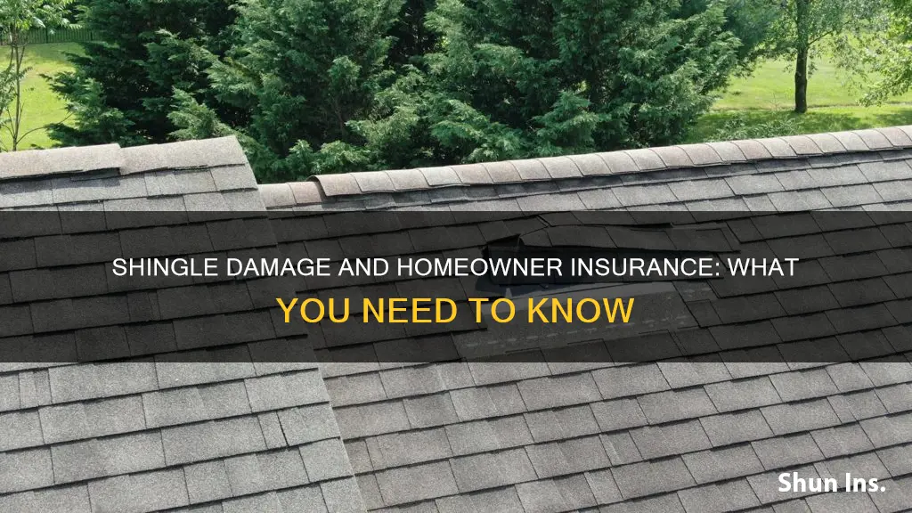 do shingle have to be missing for homeowner insurance