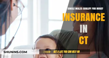 Can Single Men Enroll in CT's Husky Health Insurance Plan?