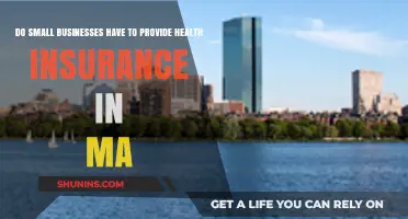 Massachusetts Health Insurance Requirements for Small Businesses: What You Need to Know