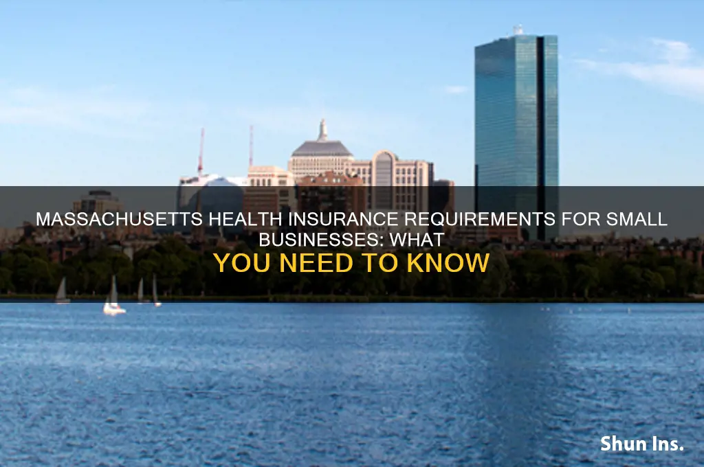 do small businesses have to provide health insurance in ma