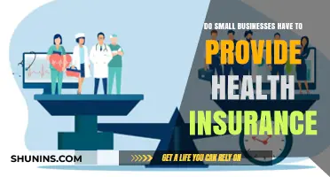 Health Insurance Mandate: What Small Businesses Need to Know