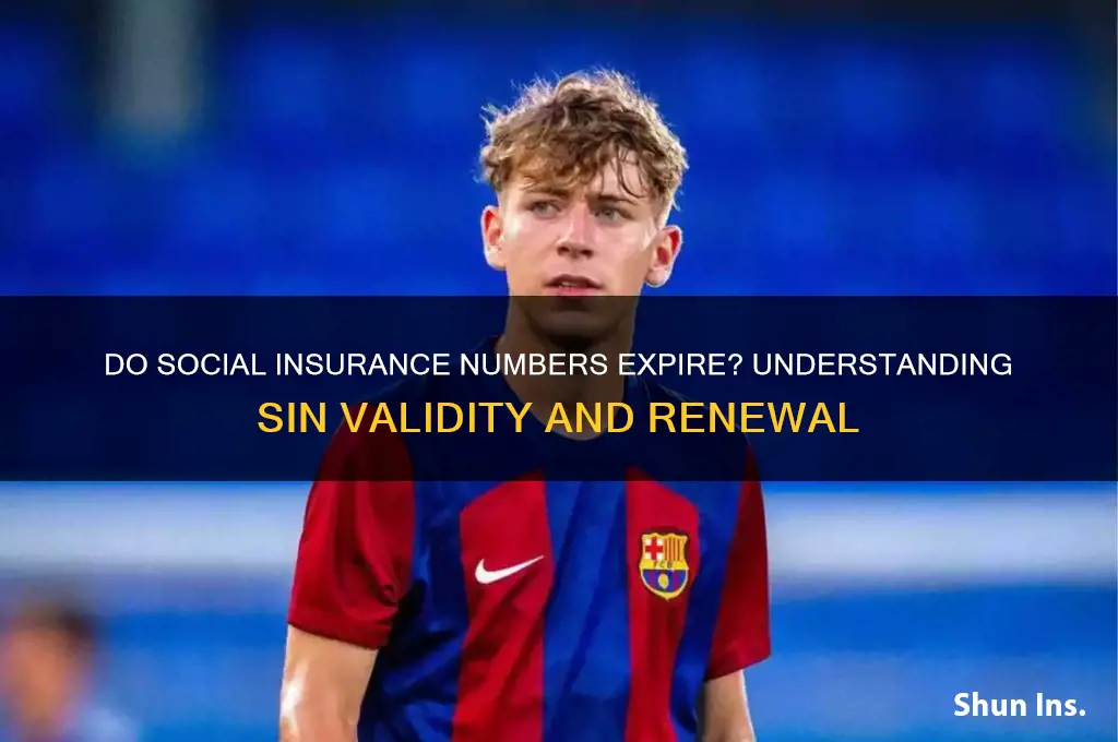 do social insurance numbers expire