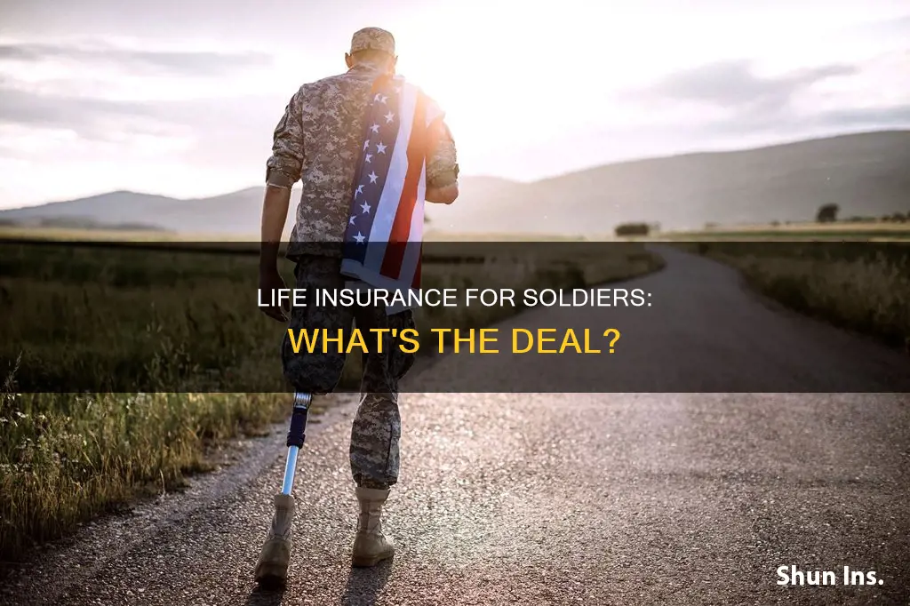 do soldiers get life insurance