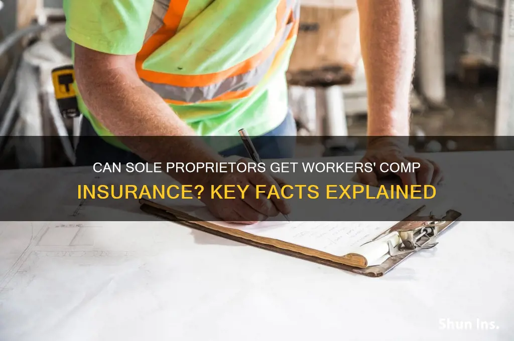 do sole proprietors qualify for workmans comp insurance