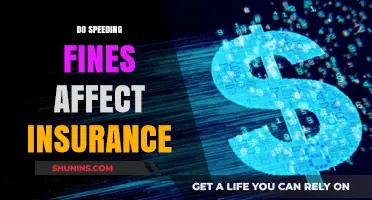 Speeding Fines: Insurance Premiums and Your Wallet