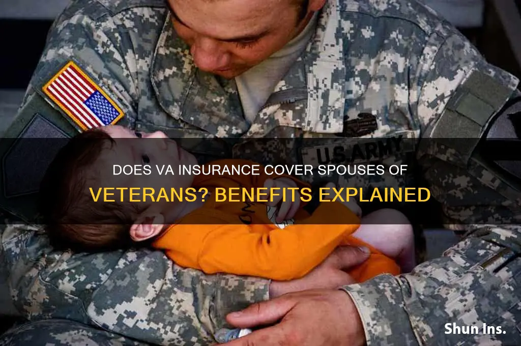 do spouses of vets have insurance thru the va