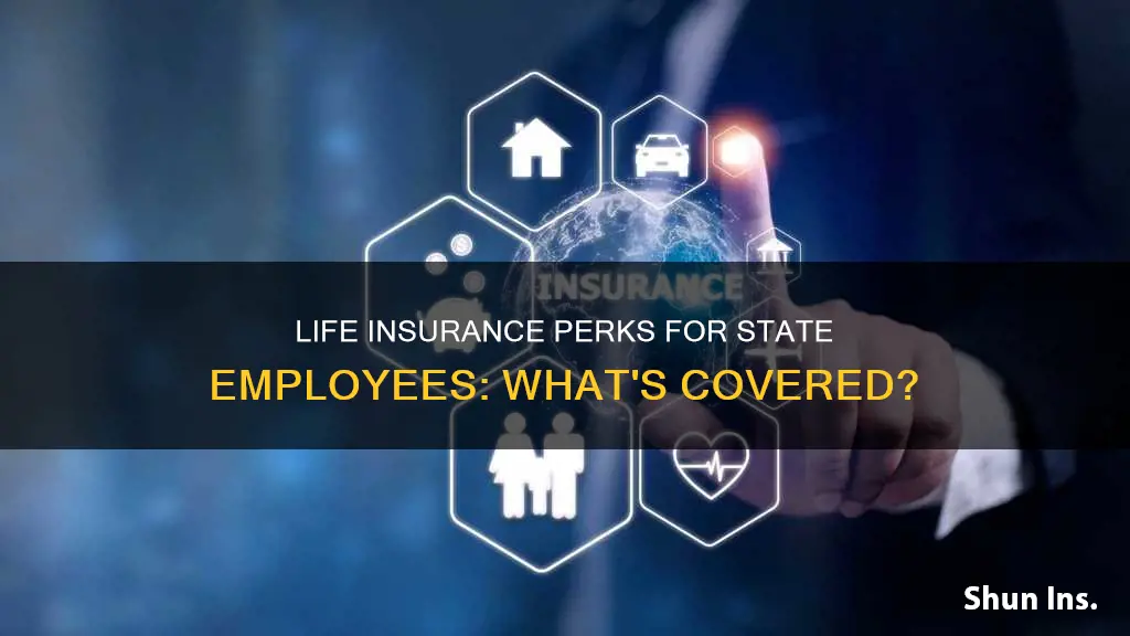 do statee employees get free life insurance