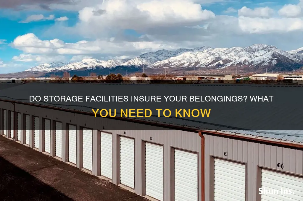 do storage facilities insure contents