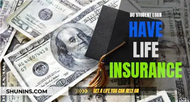 Student Loan Life Insurance: What You Need to Know