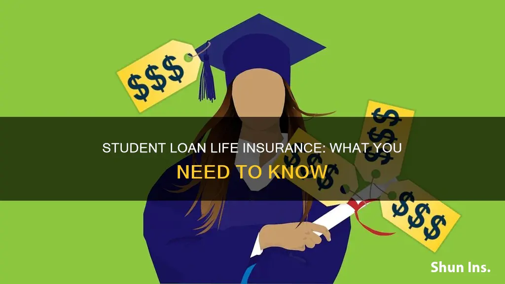 do student loan have life insurance