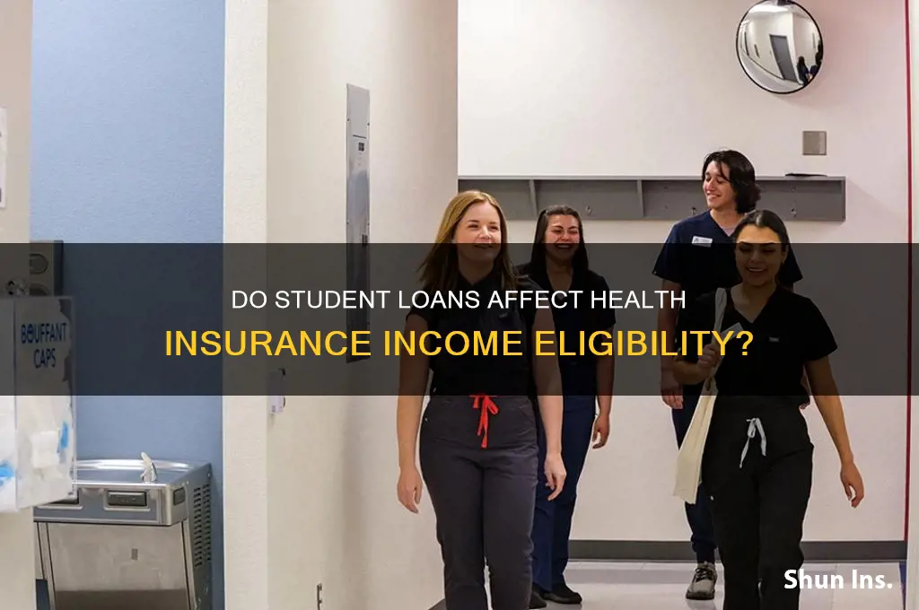 do student loans count as income for health insurance