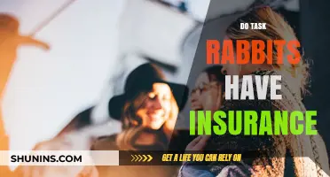 TaskRabbit Insurance: Coverage, Protection, and Peace of Mind for Workers