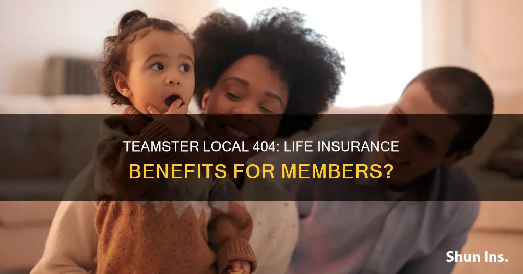 do teamster members of local 404 have life insurance benefits