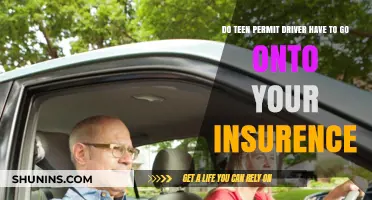 Teen Permit Drivers: Insurance Necessity or Not?