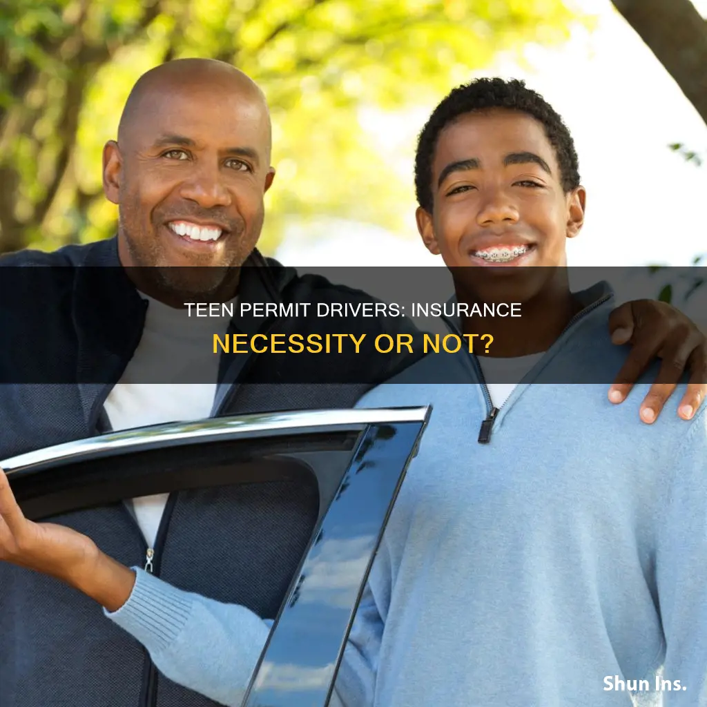 do teen permit driver have to go onto your insurence