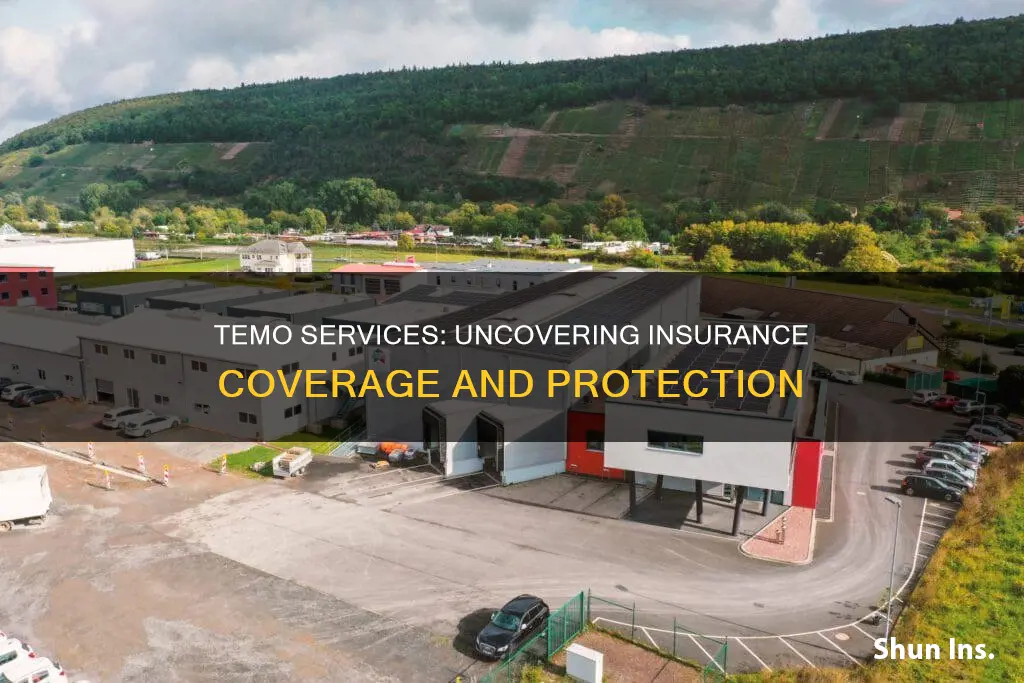 do temo services have insurance