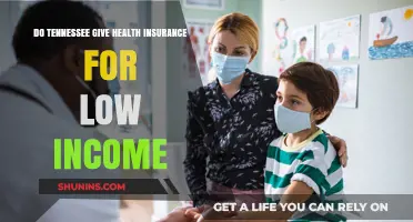 Tennessee's Health Insurance Options for Low-Income Residents: What You Need to Know