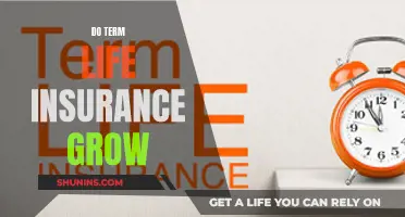 Term Life Insurance: Growth and Benefits Explained