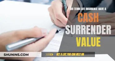 Term Life Insurance: Cash Surrender Value Explained