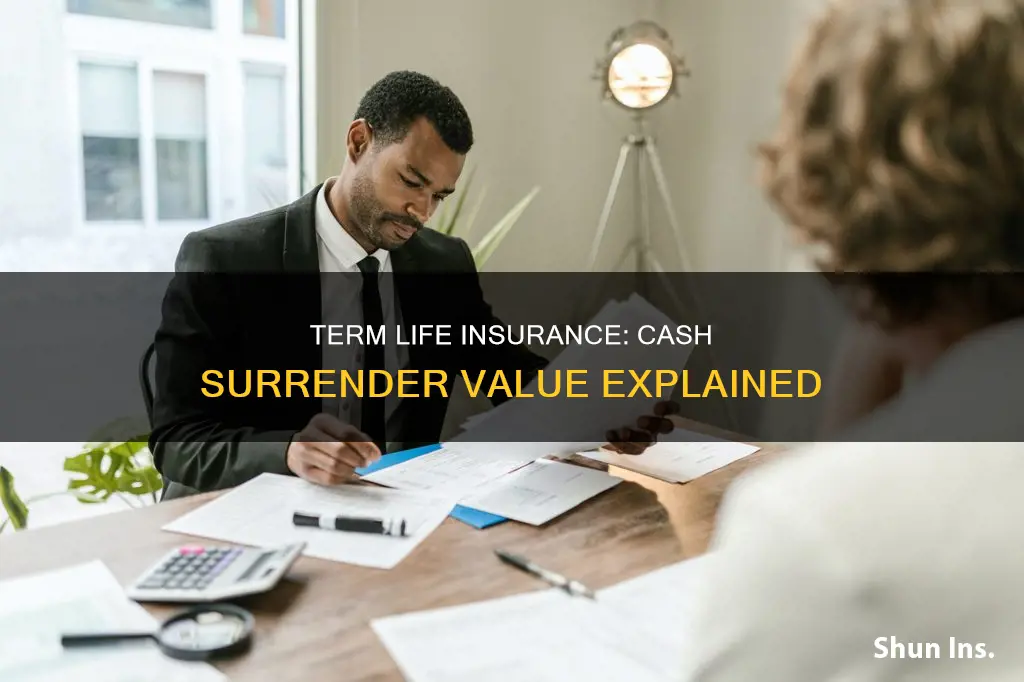 do term life insurance have a cash surrender value