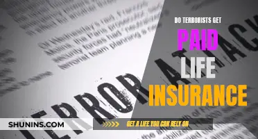 Terrorists and Life Insurance: Who Benefits from Death?