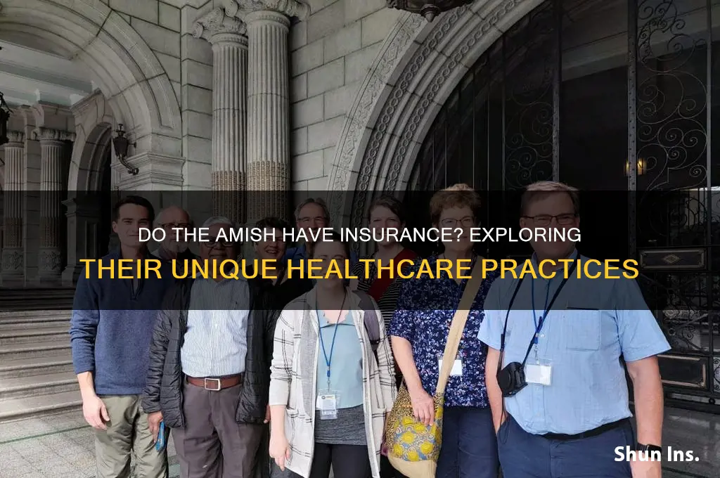 do the amish have insurance
