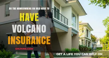 Hawaii Homeowners: Is Volcano Insurance a Must?