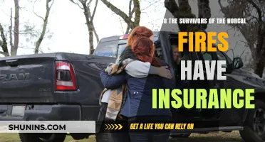 NorCal Fire Survivors: Insurance Coverage and Recovery Challenges Explained