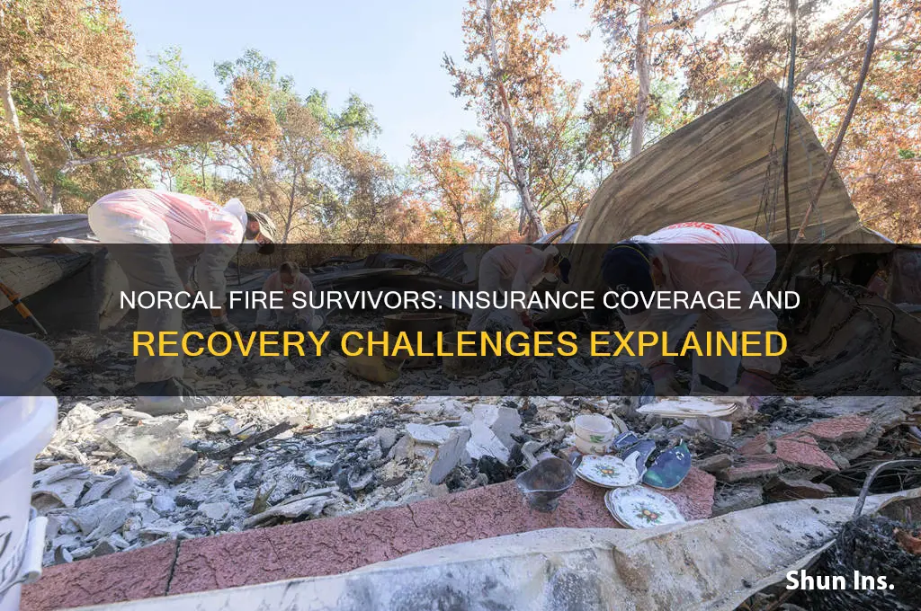 do the survivors of the norcal fires have insurance