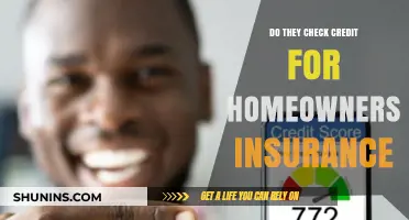 Credit Checks: A Factor in Homeowners Insurance Premiums?