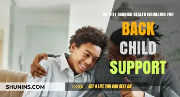 Can Health Insurance Be Garnished for Unpaid Child Support?