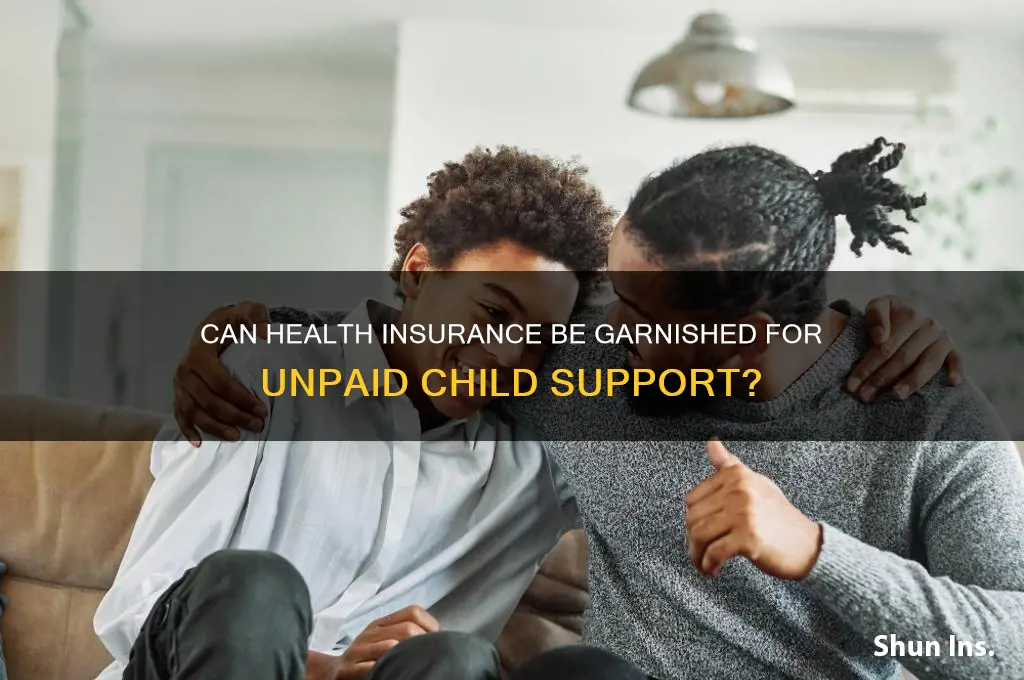 do they garnish health insurance for back child support