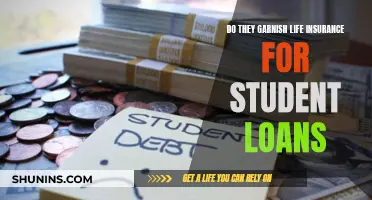 Life Insurance and Student Loans: Can They Garnish?