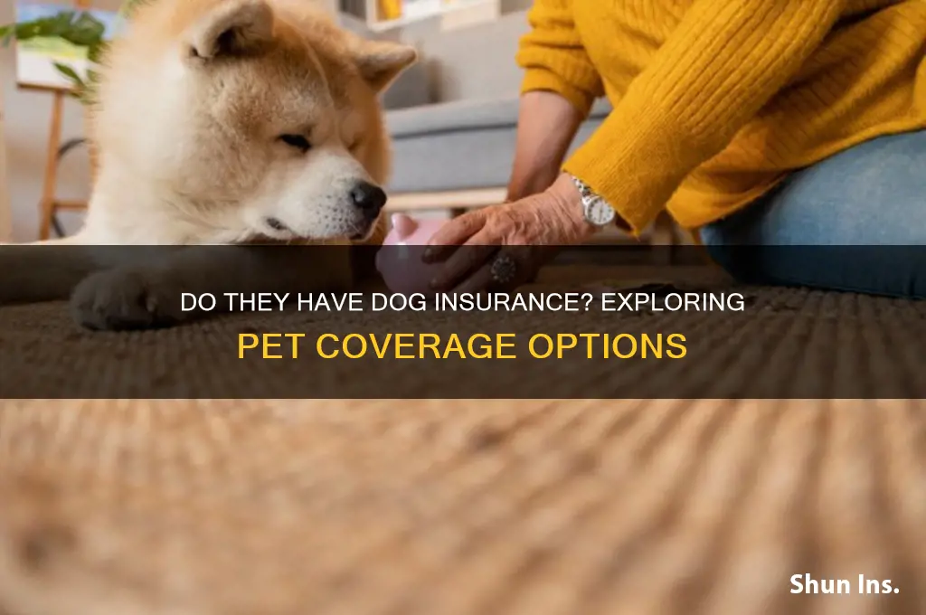 do they have dog insurance