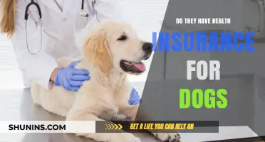 Do Dogs Need Health Insurance? Exploring Pet Coverage Options